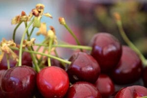 Cherry World