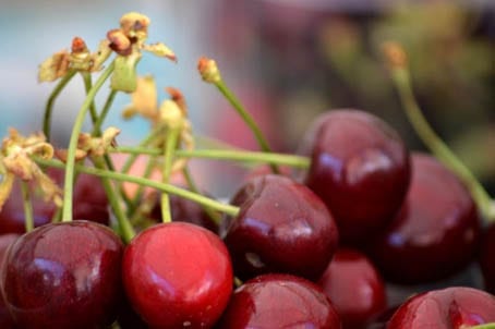 Cherry World