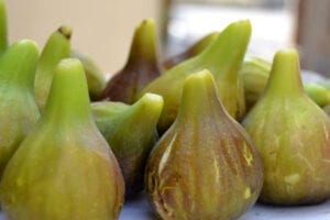 Figs Glorious Figs