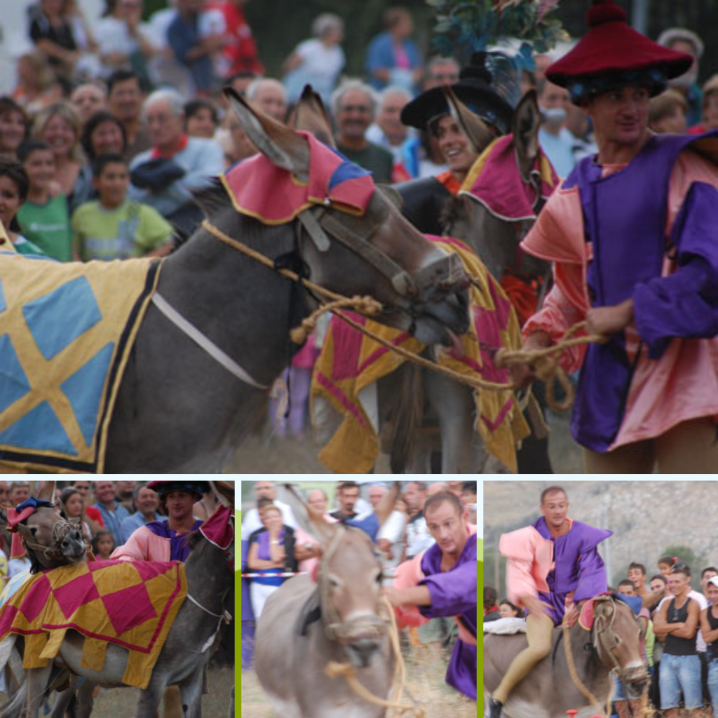 Navelli Donkey Race