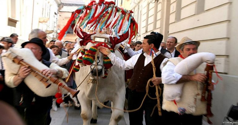 1 Stoic Ox, Ribbons & Legend Mash-up @ Festa di San Zopito