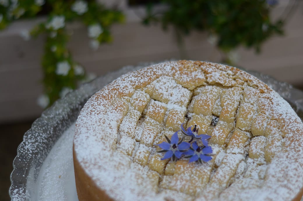 ricotta-chocolate-cake