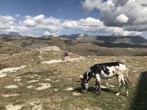 Donkey Treking Abruzzo