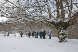 Snowshoe & nordic ski-ing Bosco di San'Antonio