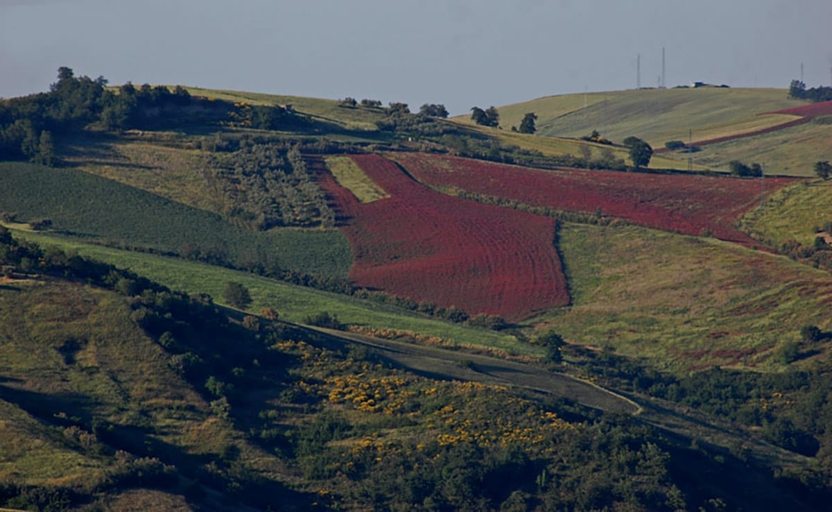 Sulla in Abruzzo Italy