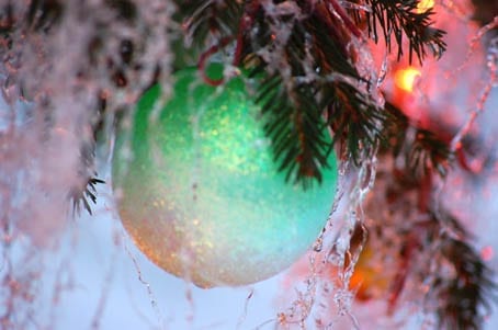 Tossica Christmas Tree