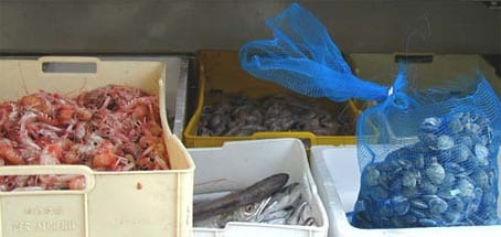 A Sample of the Local Fish Van Delivery