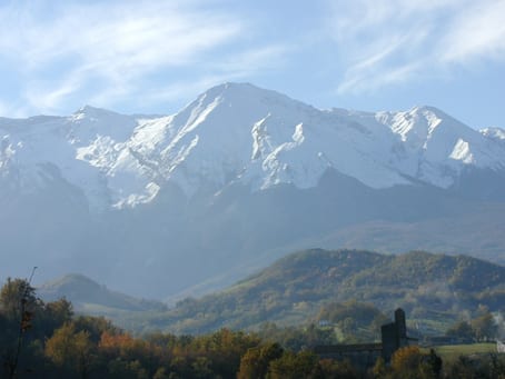 Vaccari View