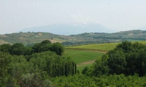View near Collecera