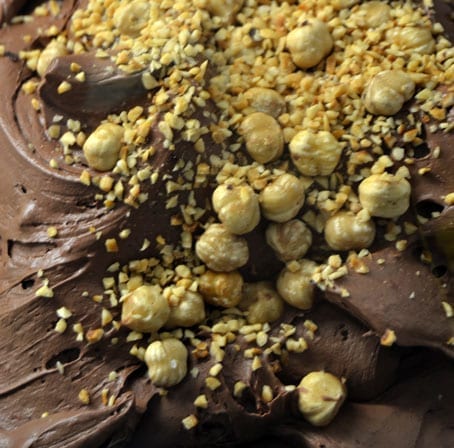 Chocolate Ice-cream