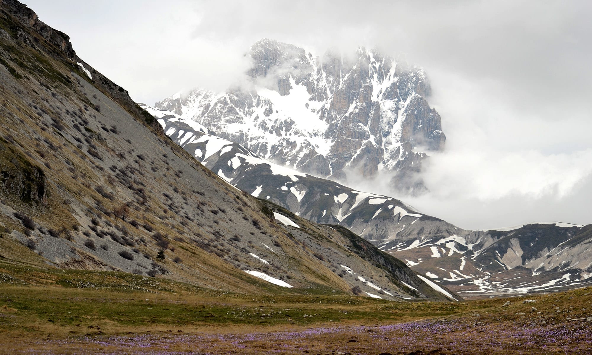 Gran Sasso Crocus Fields