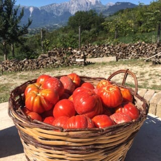 Pera Tomatoes