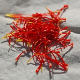 Saffron Stamens
