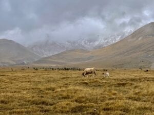 Campo Imperatore
