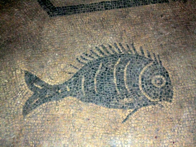 ATRI - 1 of the fish mosaics found under the Duomo Floor