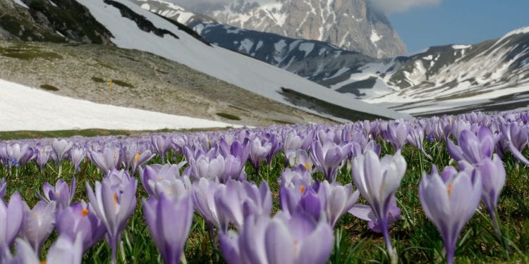 Gran Sasso e Monti della Laga Park