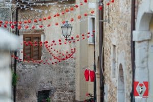 Garofano Rosso Film Festival