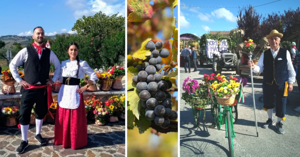 Alanno Grape Festival