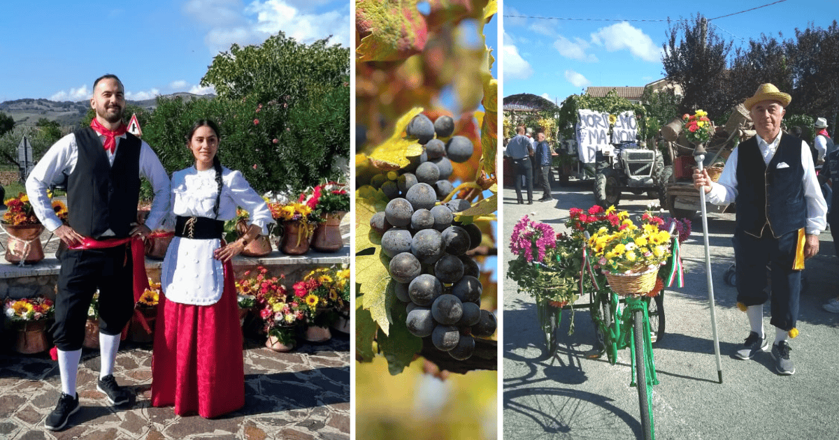 Alanno Grape Festival