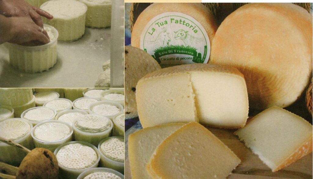 Cheeses at La Tua Fattoria