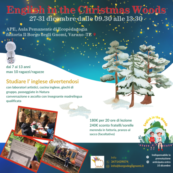 English in the Christmas Woods