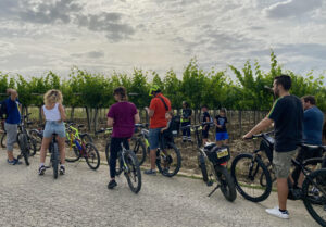 Biking though Vineyards in Abruzzo
