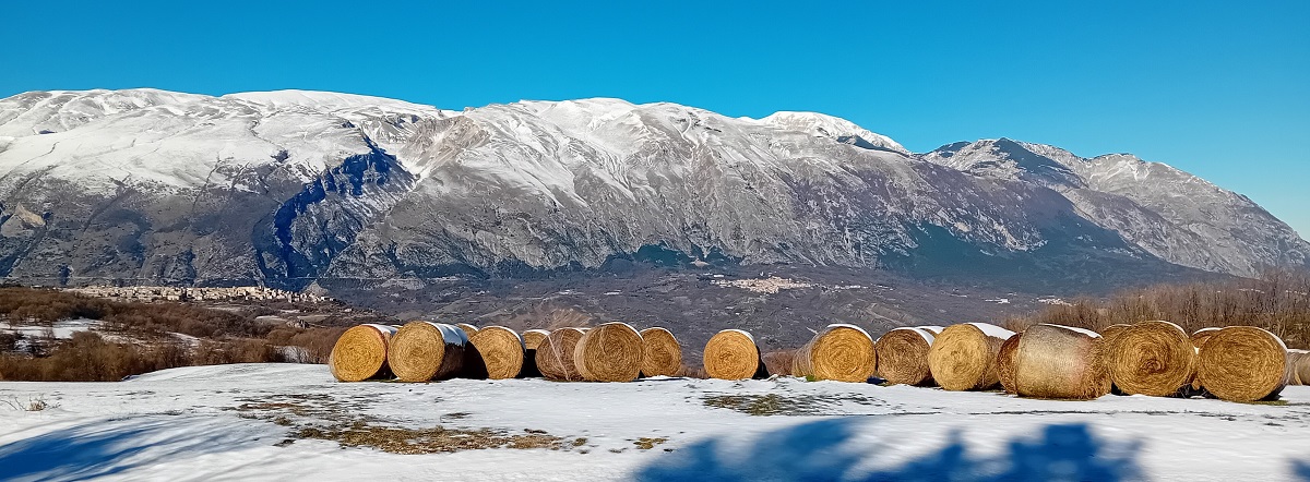 Passucci International Travel