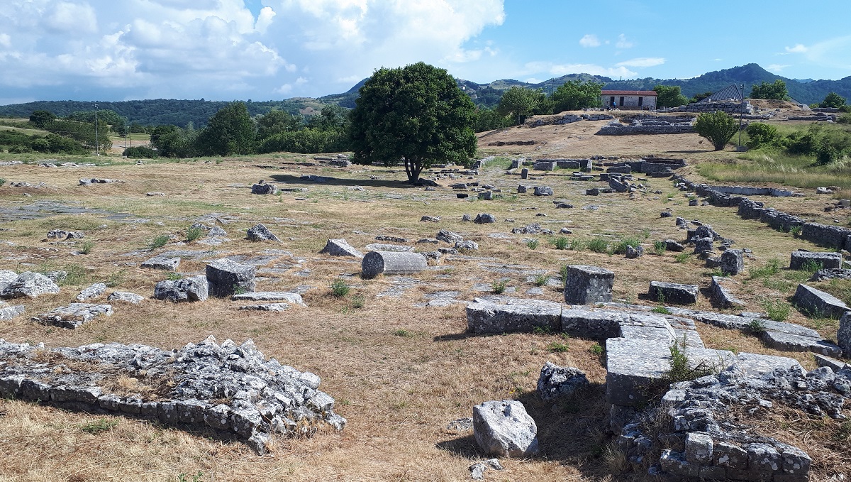 Passucci International Travel