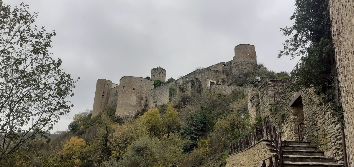 Passucci International Travel