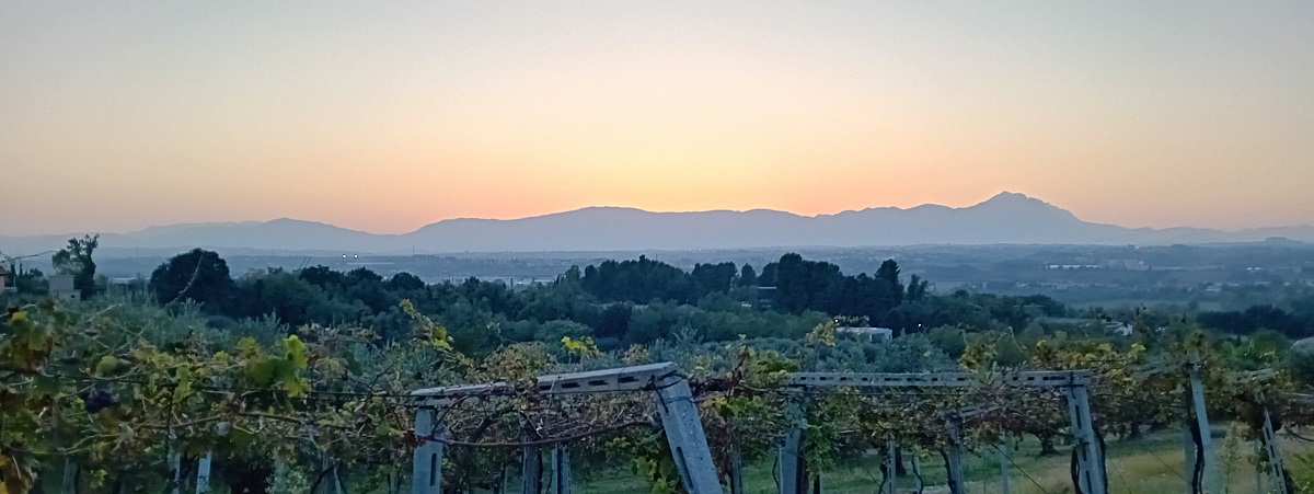 Passucci International Travel