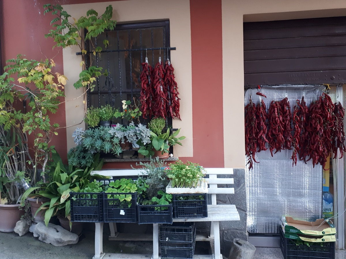 Passucci International Travel