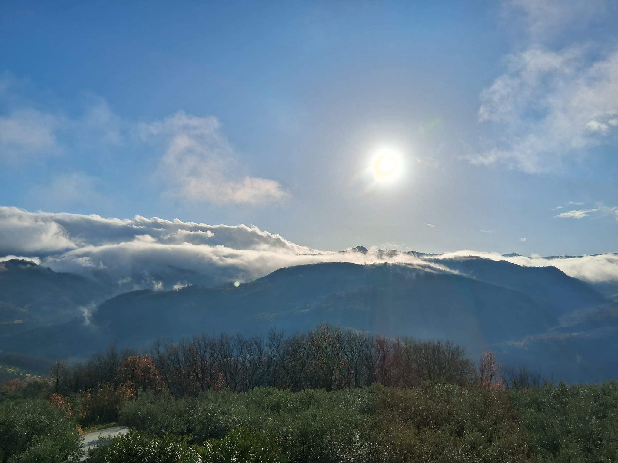 Max and Molly at Casa Faraone Home Restaurant