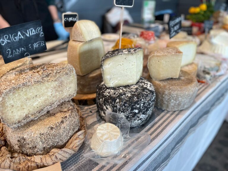Pecorino from La Porta dei Parchi