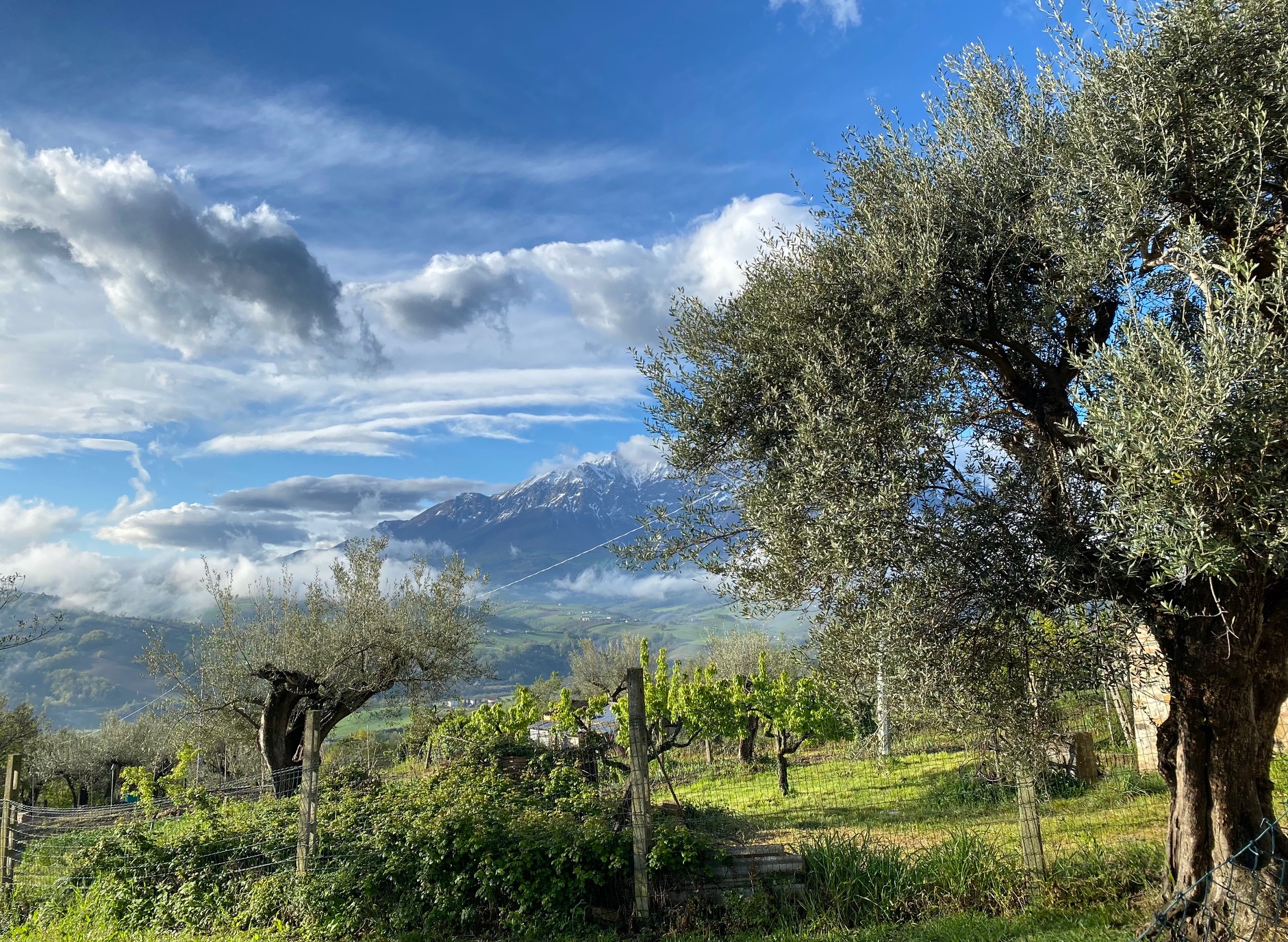 Little House of the Firefly - Teramo Holiday Rental Near Gran Sasso National Park