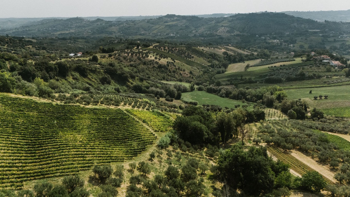 For Sale - Productive Chieti Olive Farm with Majestic Views, Near Sea & Mountains
