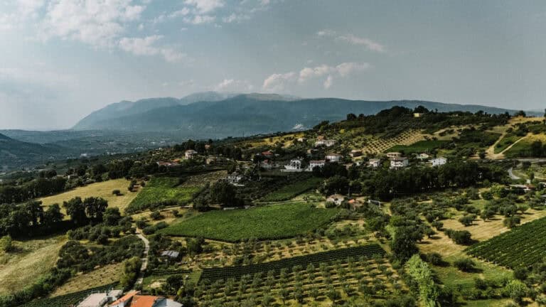 PHOTO 2025 08 16 21 22 34 1 768x432