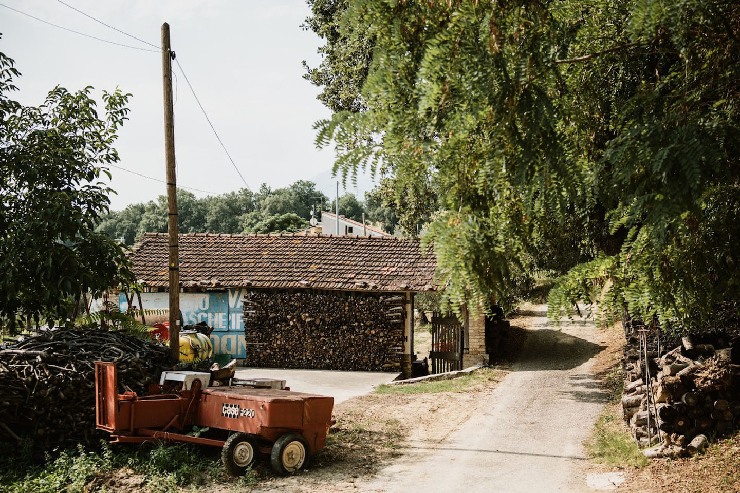 For Sale - Productive Chieti Olive Farm with Majestic Views, Near Sea & Mountains