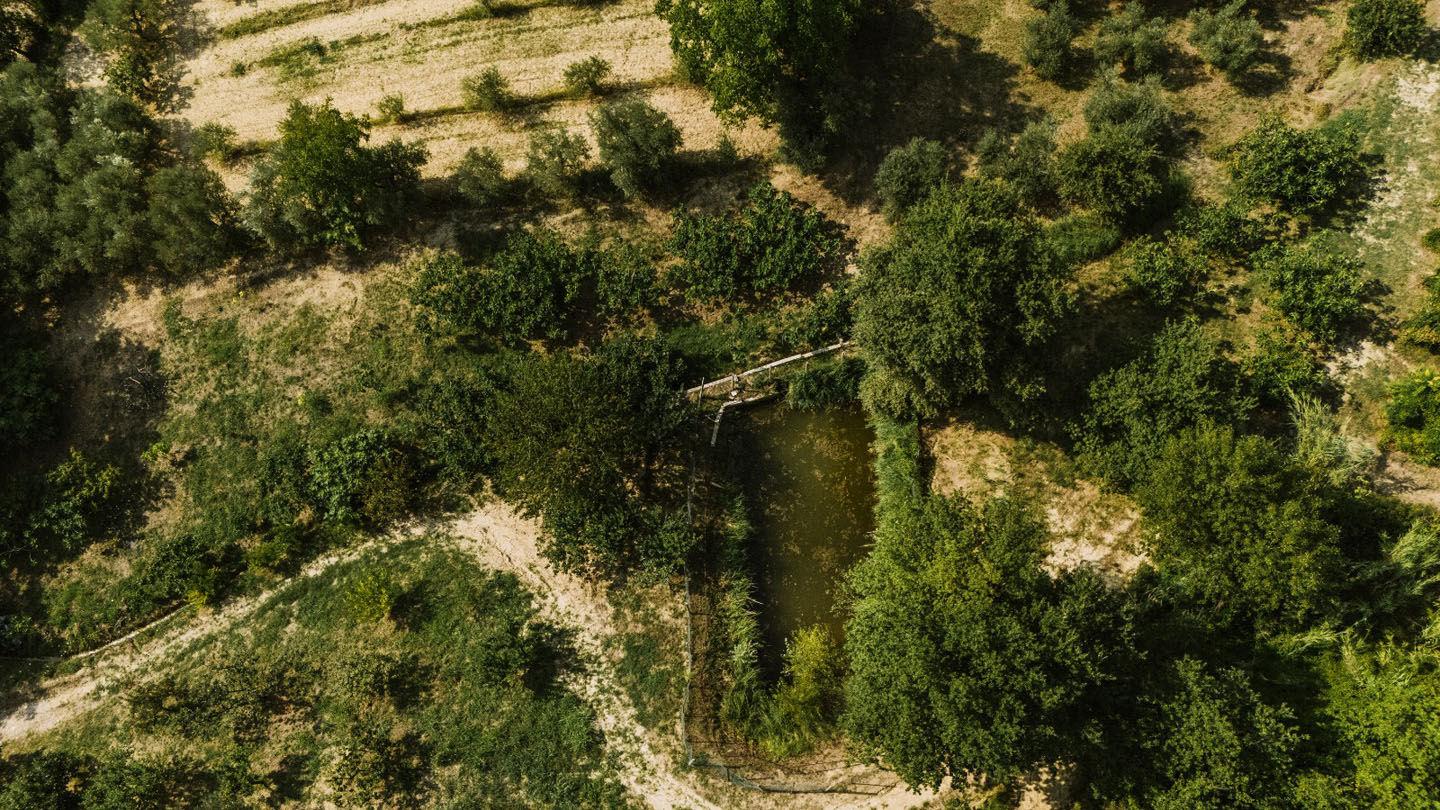 For Sale - Productive Chieti Olive Farm with Majestic Views, Near Sea & Mountains