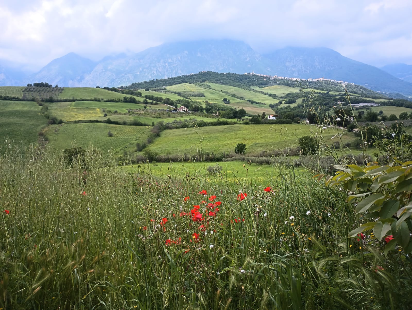 Le Farfalle Abruzzo - Casoli Long-term Rental Apartments