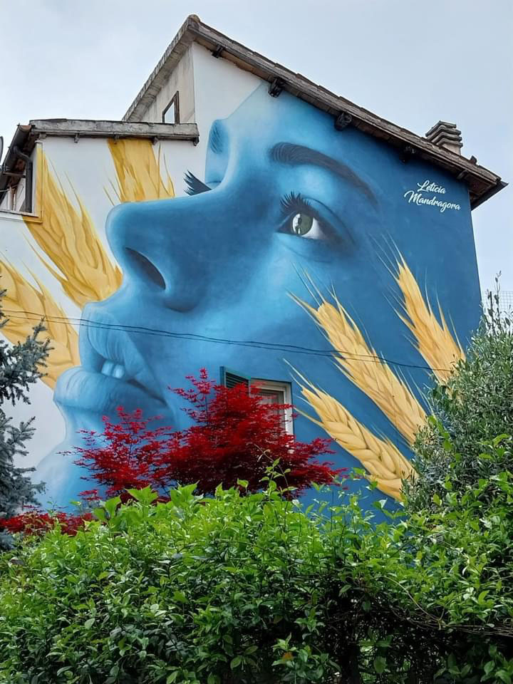 Bisenti Apartments - Short Term Terrace Apartment Rental