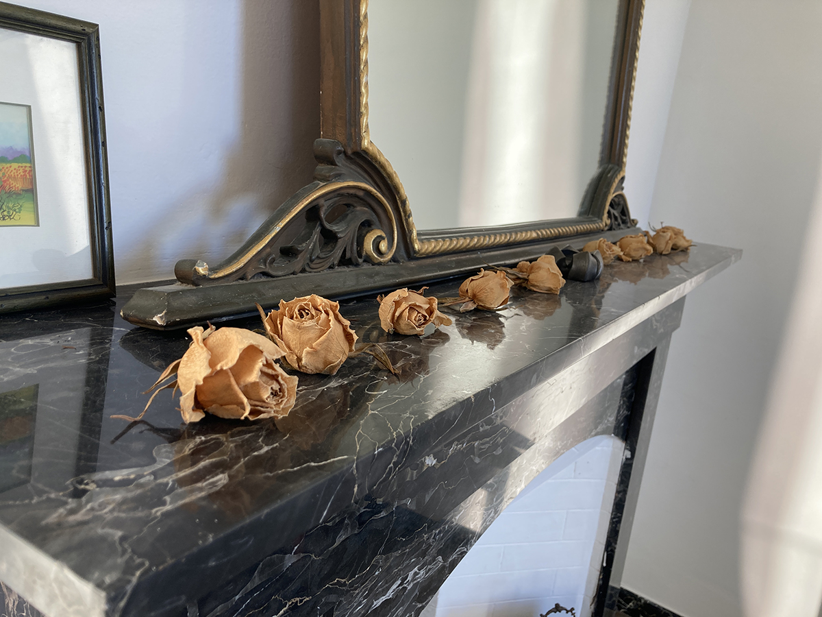 Restored 360° Historic Penthouse, Centro Storico of Penne