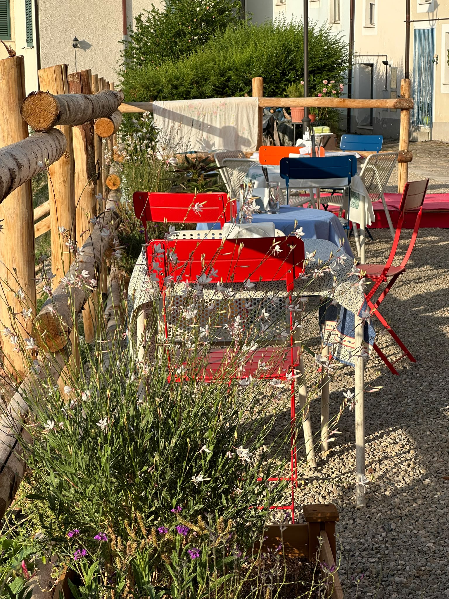 Selvatico: a Foraging Restaurant in Arsita, Teramo